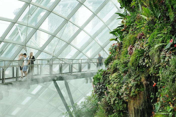 Сингапур оранжерея cloud Forest