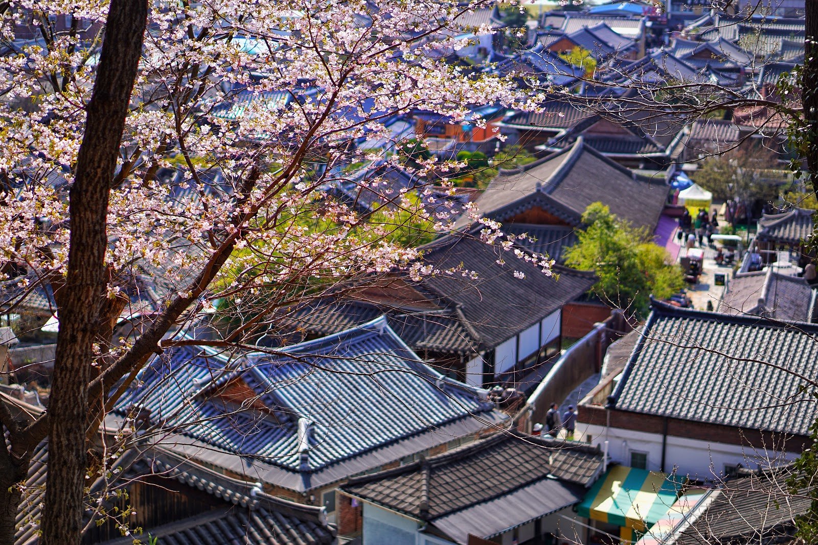 Кунпхо. Jeonju Hanok Village. Ёгван Корея. Ханок Вилладж. Южная Корея Ханок.