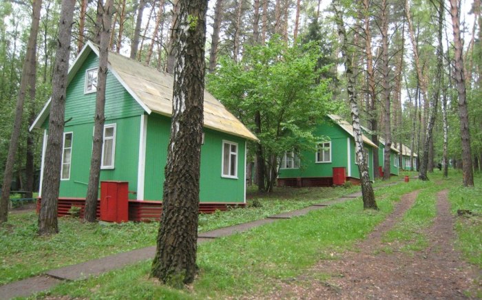 Турбаза янтарь Ока