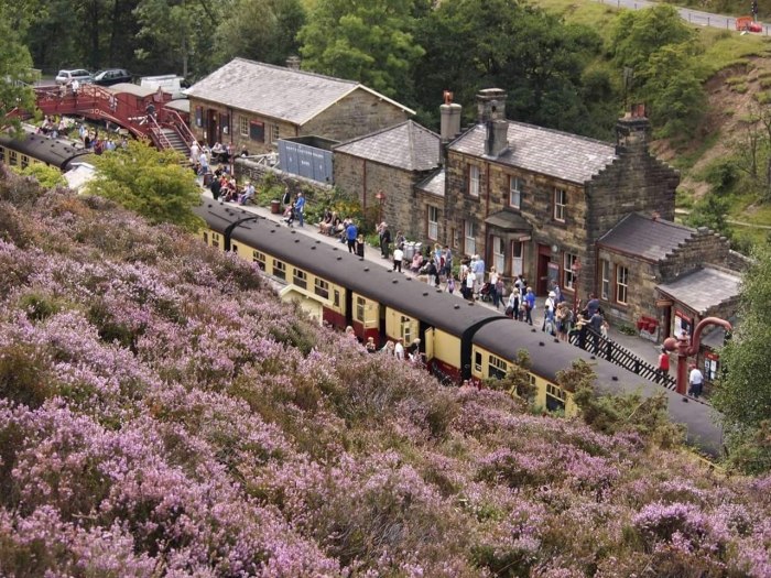 Парк Yorkshire Potter