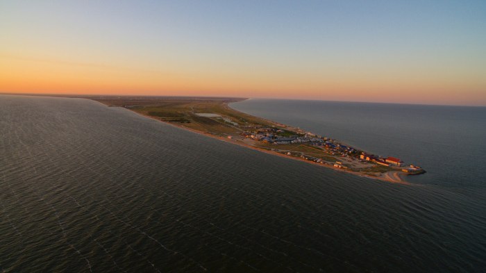Серфприют Должанская