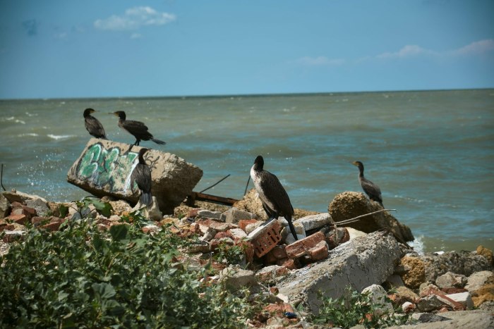 Должанская коса Азовское море