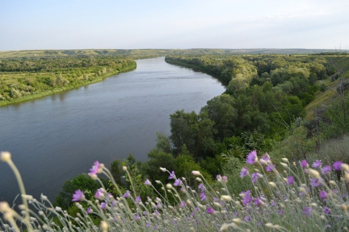 Крутояр Шолоховский район