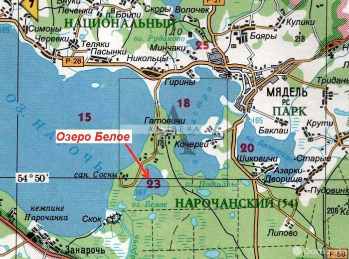 Белое озеро Нарочанский парк