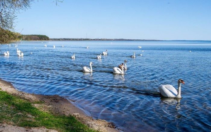 Город Нарочь Беларусь