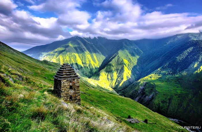 Цой Педе Чеченская Республика