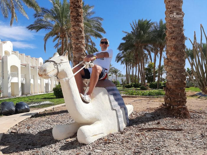 Siva Sharm Resort Spa романтическое свидание