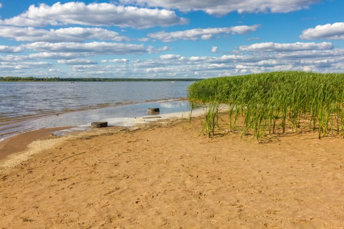 Иваньковское водохранилище пляжи Дубна