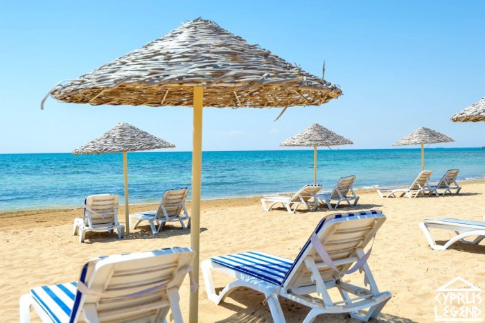 Thalassa Beach Resort Кипр