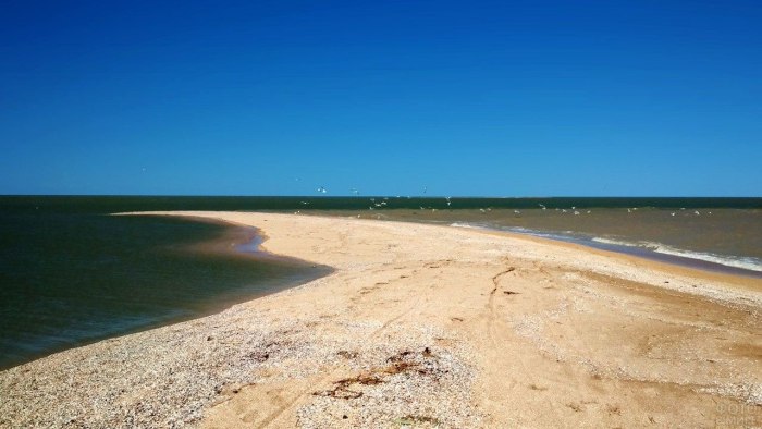 Должанская коса Азовское море