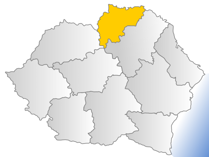 Бессарабия королевство Румыния