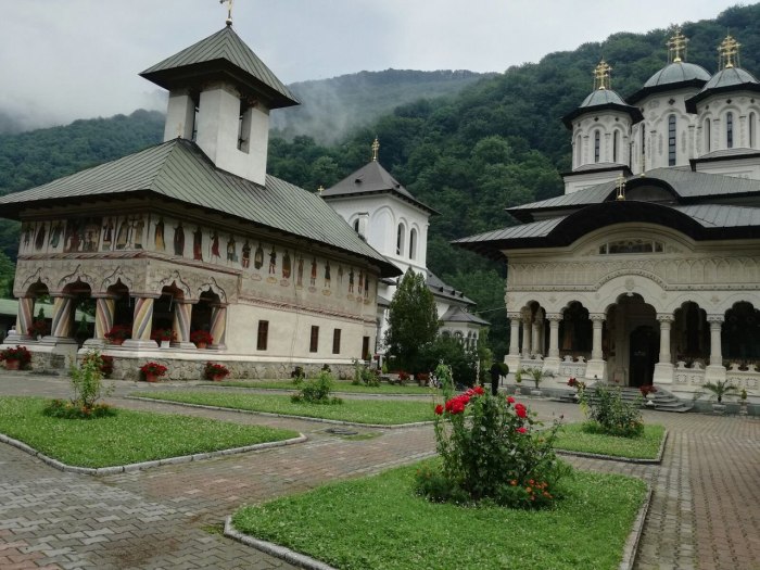 Тыргу Rao