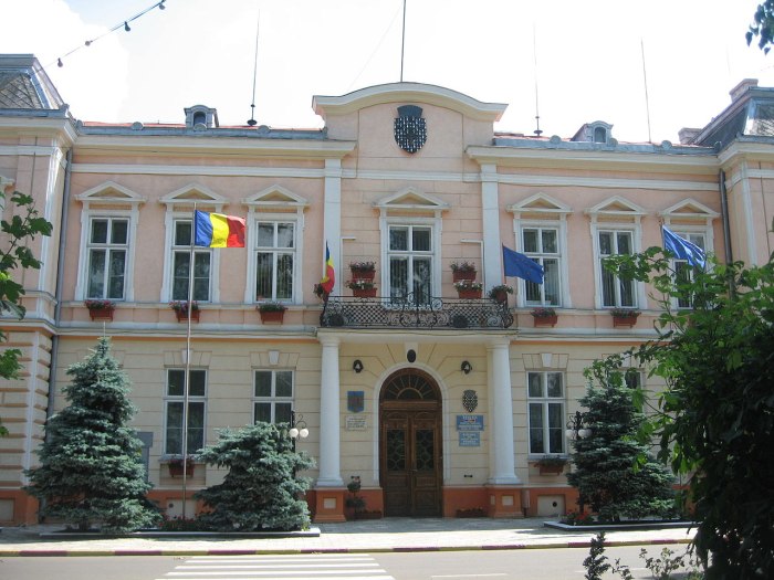 Примэрия Теребна