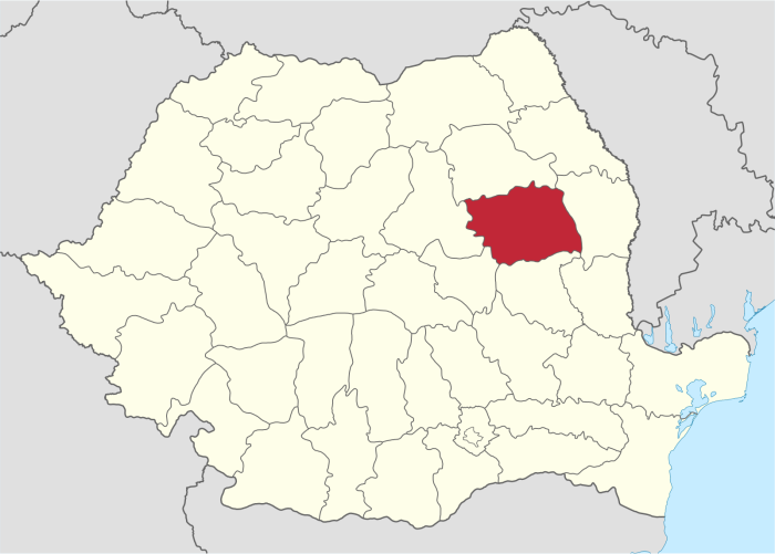 Бакэу Румыния на карте