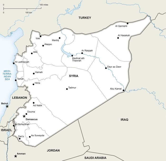 Политическая карта Сирии