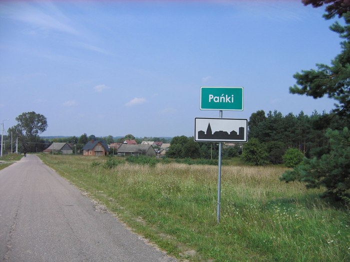 Деревня паньки
