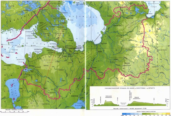 Физическая карта Ленобласти рельеф
