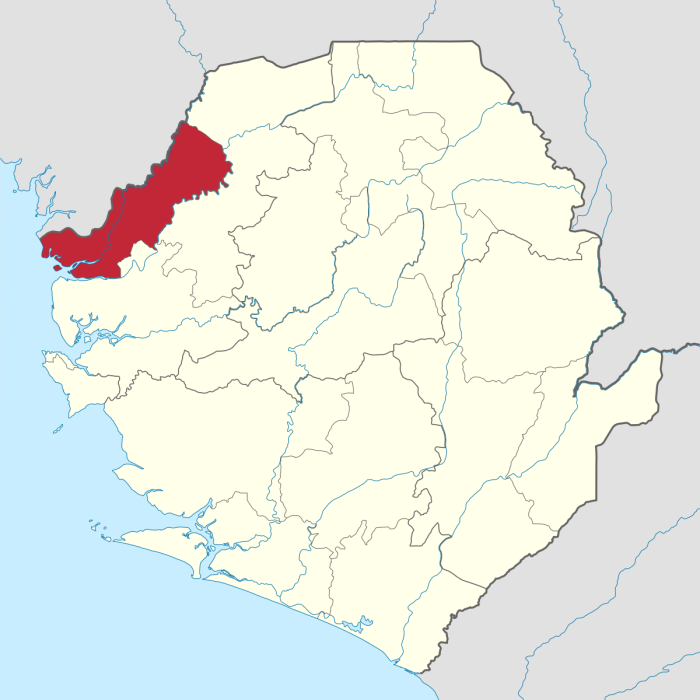 Камбиа элпаса