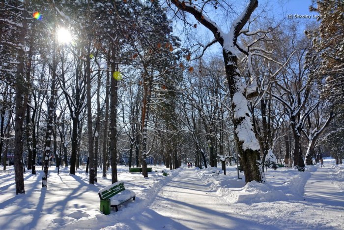 Молдова зима Кишинев