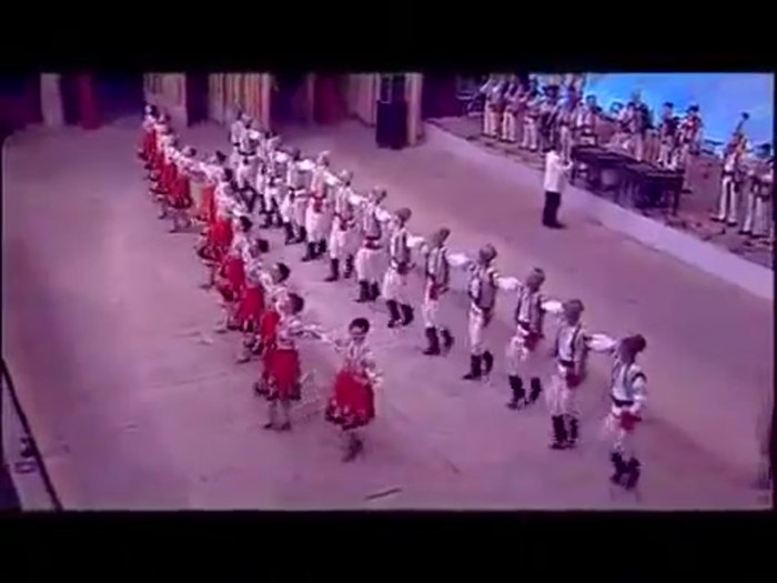 Танец пингвинов молдавский