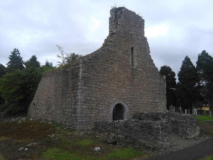 Old Church in Kill, co Kildare