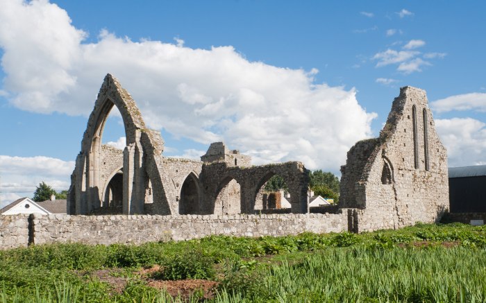Килдаре Ирландия фото
