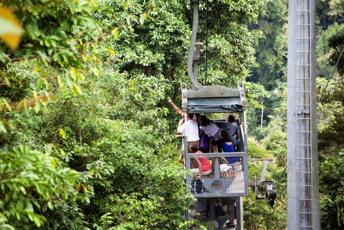 Veragua Rainforest Park Коста Рика
