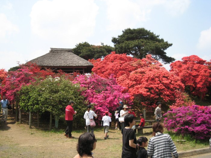 Tsutsujigaoka Park