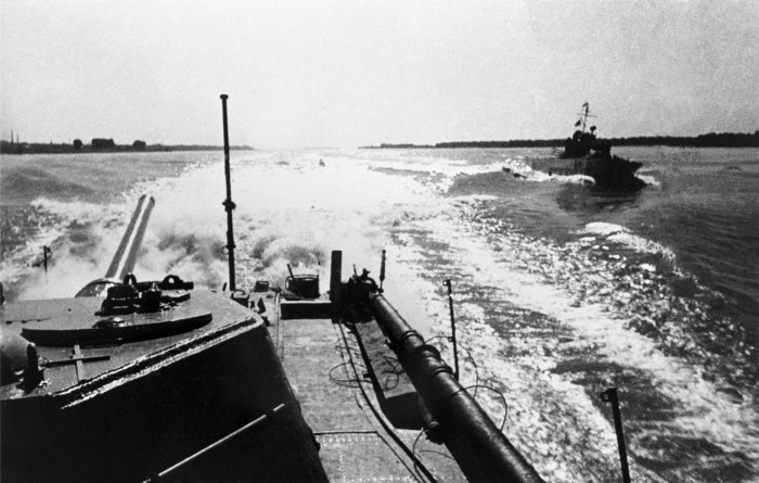 Дунайская Военная флотилия 1941
