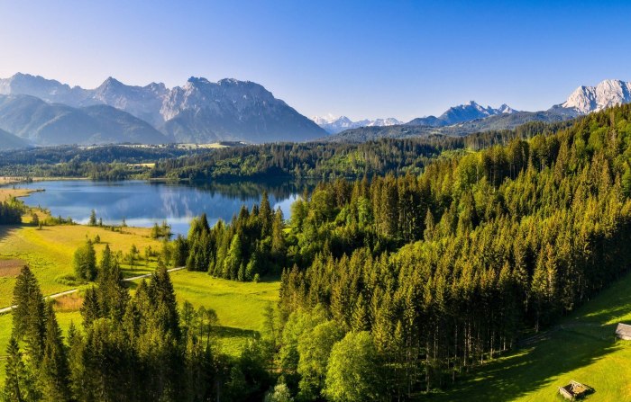 Нац парк баварский лес Германия