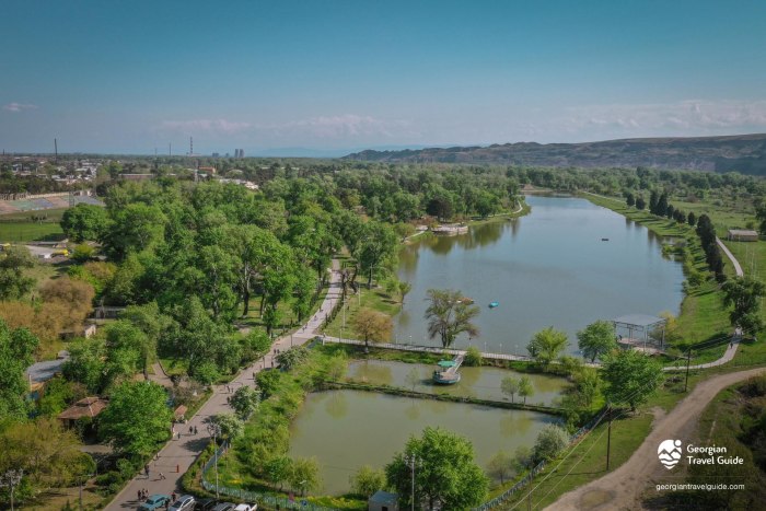 Алиевский парк Рустави