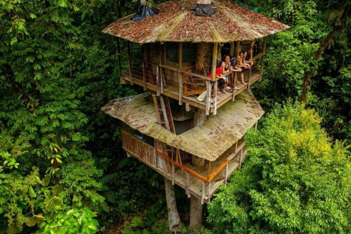 Экопоселение на деревьях Finca Bellavista(Коста-Рика)