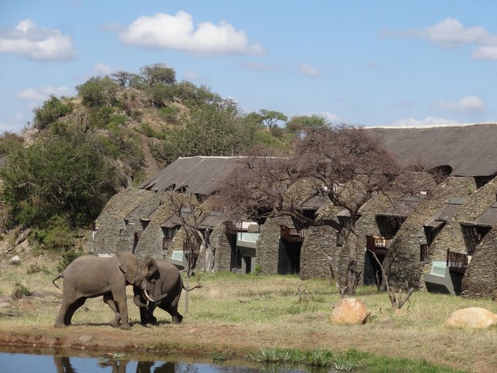 Safari Lodge Serengeti