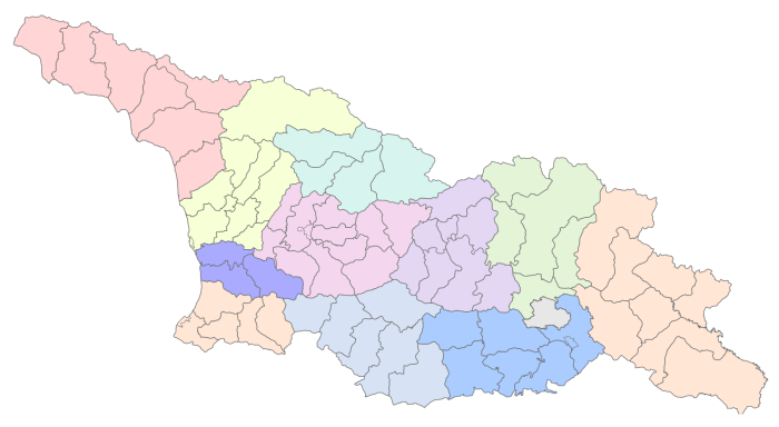 Муниципалитетная карта Грузии