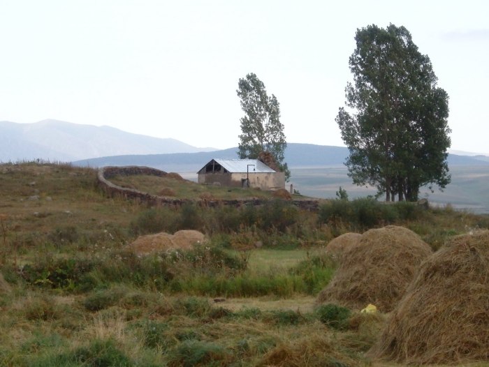 Едикилиса Грузия