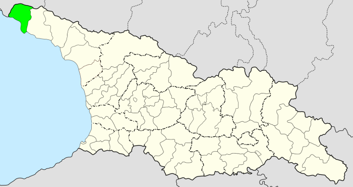 Муниципалитетная карта Грузии