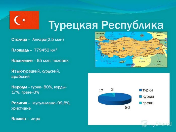 Турция характеристика страны