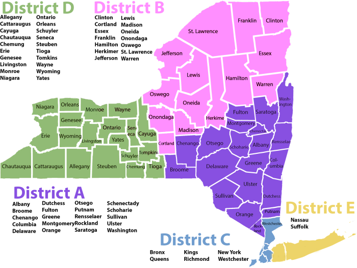 New York Districts Map