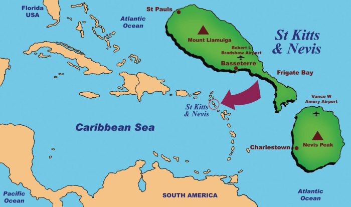 Saint Kitts and Nevis Airport