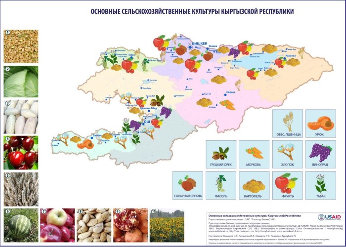 Карта сельского хозяйства Кыргызстан