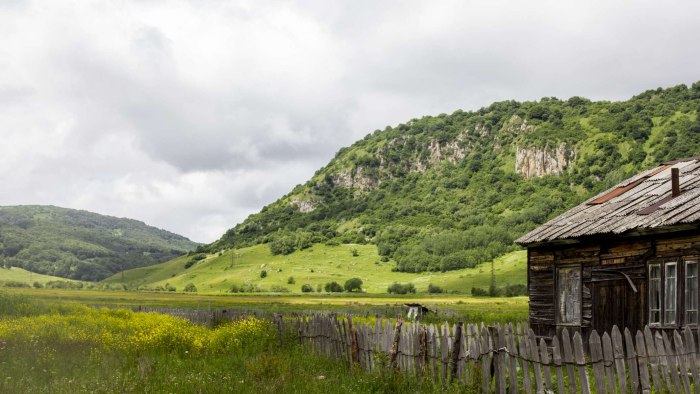Село коз Южная Осетия