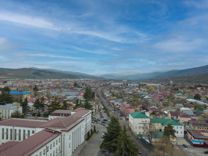 Цхинвал 2022