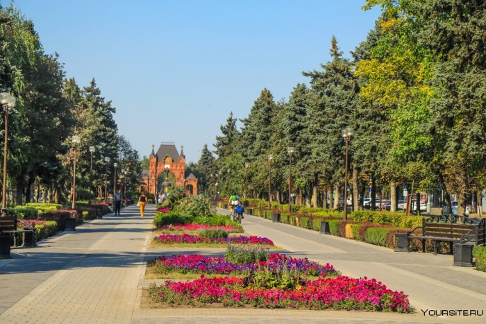 Аллея на красной улице Краснодар