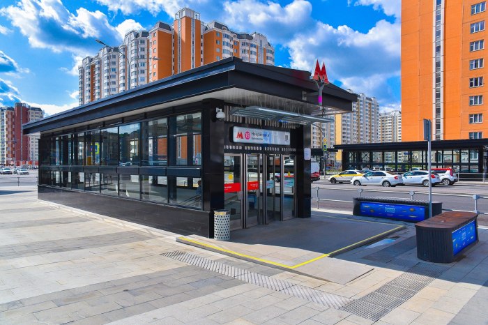 Станция Некрасовка Москва
